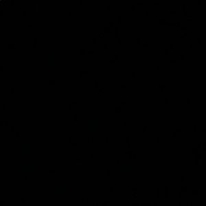 Meet your Posher, Samy